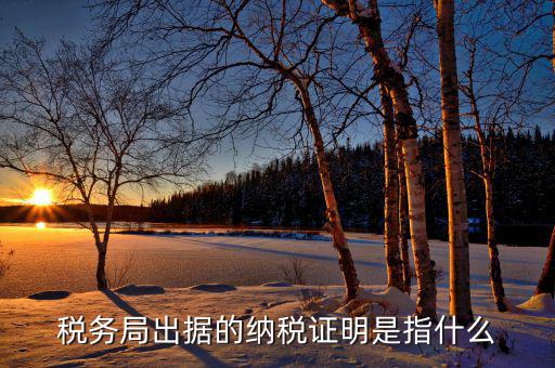 什么是稅收證明，什么是個人納稅證明