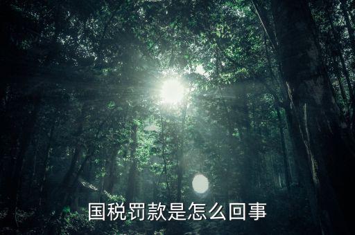 稅務(wù)局行為罰款是什么意思，國稅罰款是怎么回事