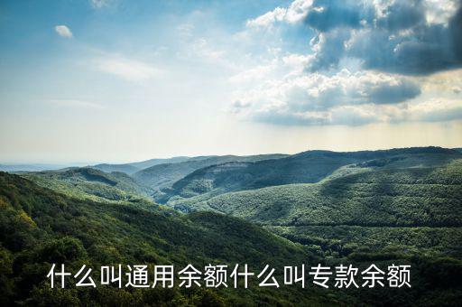 通用余額 專用余額是什么意思，專用余額啥意思