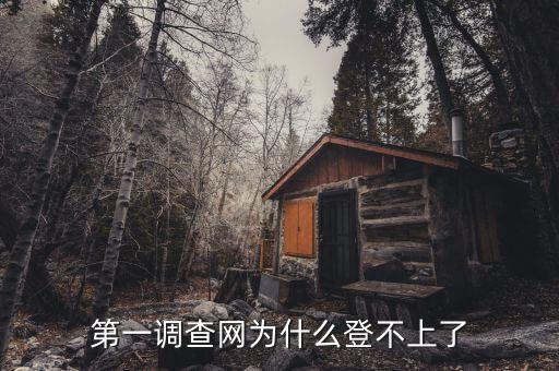 稅收調(diào)查為什么登陸不進(jìn)去，為什么北京地稅局納稅申報(bào)登陸不了