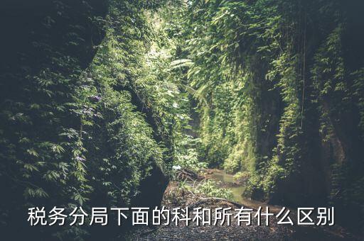 稅局計統(tǒng)科是什么意思，稅務(wù)分局下面的科和所有什么區(qū)別