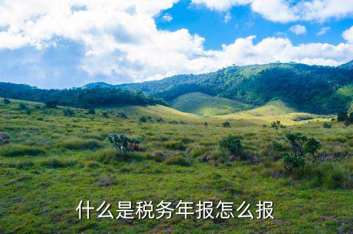 稅務(wù)局年報(bào)指報(bào)什么稅，我想知道稅務(wù)上年底所得稅年報(bào)指的是什么是不是季度那個(gè)表呀