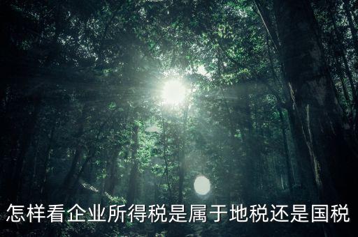 所得稅屬于什么稅，所得稅包括什么稅