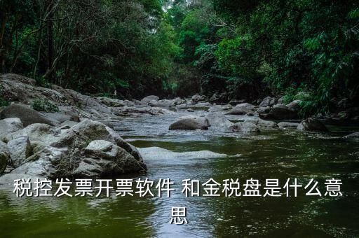 稅控開票軟件什么意思，稅控發(fā)票開票軟件 和金稅盤是什么意思