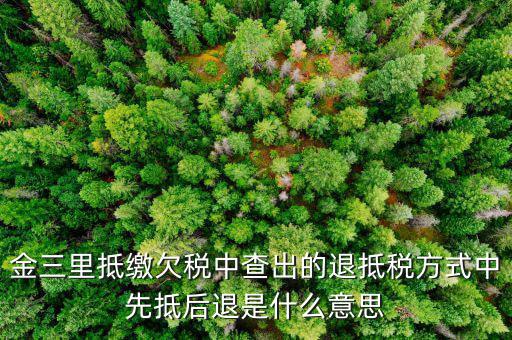 金三稅是什么意思，2016年金稅三期上線那金稅三期到底是啥呢