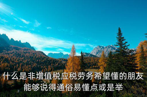 非增值稅應(yīng)稅勞務(wù)什么意思，什么是非增值稅應(yīng)稅勞務(wù)希望懂的朋友能夠說得通俗易懂點(diǎn)或是舉