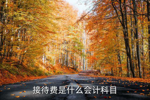 接待費(fèi)計入什么科目，業(yè)務(wù)招待費(fèi)屬于什么會計科目