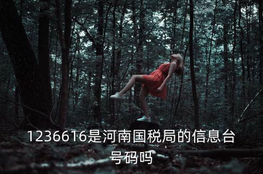 河南省國(guó)家稅務(wù)局賬號(hào)是什么，登錄國(guó)稅網(wǎng)上辦稅服務(wù)廳的用戶名和密碼是什么