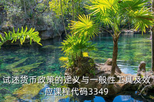 政策功能編碼是什么，試述貨幣政策的定義與一般性工具及效應課程代碼3349