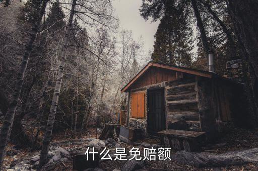 什么是免抵調(diào)庫，什么叫保險理賠免調(diào)查件