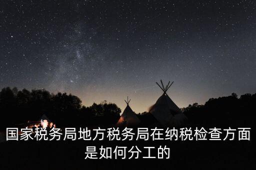 地方稅務局一案雙查是什么意思，國稅局一二稽查大隊是何意思