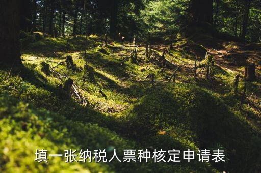 交票種核定表是什么，納稅人領(lǐng)購發(fā)票票種核定申請表如何填寫