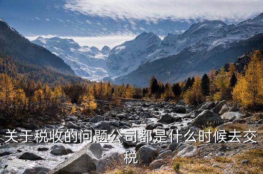 每個什么時候交稅，關(guān)于稅收的問題公司都是什么時候去交稅