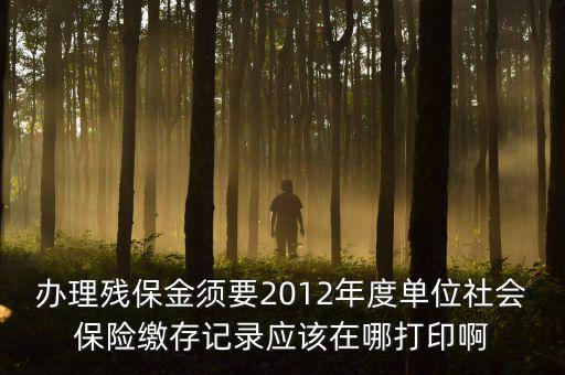 辦理殘保金須要2012年度單位社會保險(xiǎn)繳存記錄應(yīng)該在哪打印啊