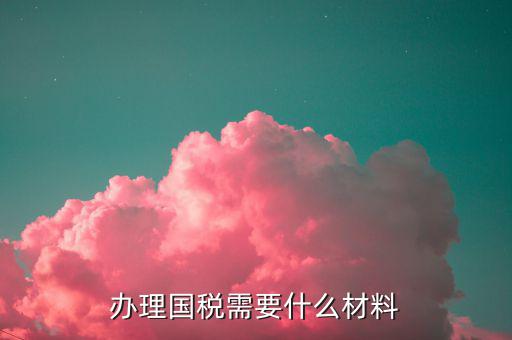國稅局交稅要什么證件，辦理國稅需要什么材料