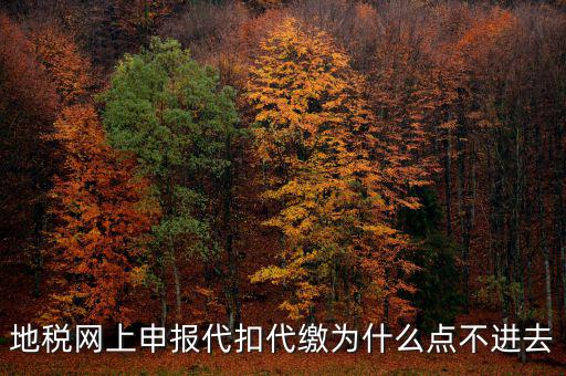地稅從租計征為什么無法點開，地稅網(wǎng)上申報代扣代繳為什么點不進(jìn)去