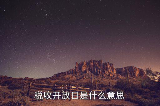 國稅開放日是什么意思，稅收開放日是什么意思