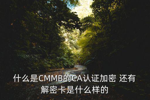 東莞ca證書密碼是什么意思，機構(gòu)代碼的ca證書的PIN碼是什么我用CA證書登陸國稅時提示詳細(xì)