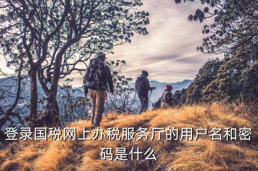 電子稅務(wù)局登錄賬號(hào)是什么，你好我想問(wèn)你 一下 網(wǎng)上國(guó)稅的用戶名和密碼是什么