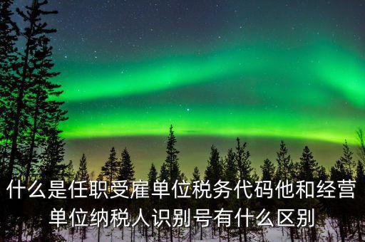 報稅自然人識別號是什么，個稅申報顯示存在相同唯一識別號是什么意思