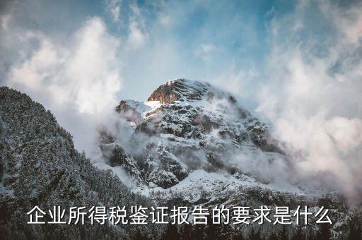 涉稅鑒證報告是什么，什么是涉稅鑒定報告