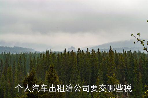 車輛租賃交什么稅，轎車租賃需繳納多少稅控