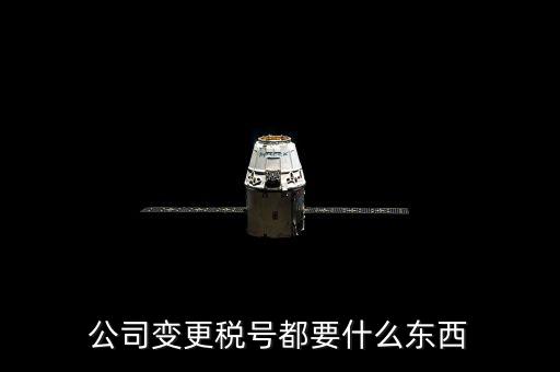 什么情況下變更稅號(hào)，公司變更稅號(hào)都要什么東西