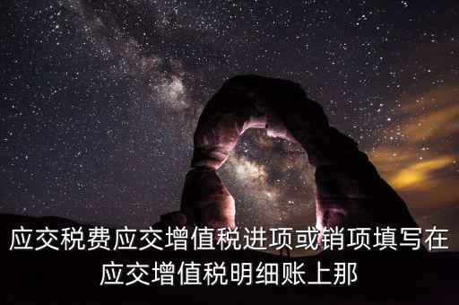 扣繳稅款登記填什么稅，在個人所得稅代扣代繳軟件中所要填寫的稅務(wù)登記號是填國稅的還是地