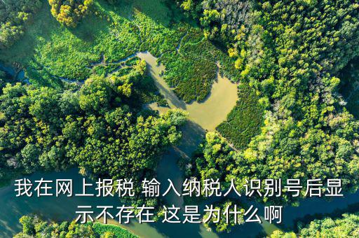 個稅主賬戶不存在什么意思，為什么個稅網(wǎng)絡(luò)在線報稅登錄時用戶號不存在