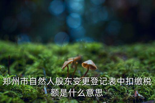 扣繳稅款登記是什么意思，應(yīng)當(dāng)按照稅收征管法等有關(guān)規(guī)定辦理扣繳稅款登記領(lǐng)取扣繳憑