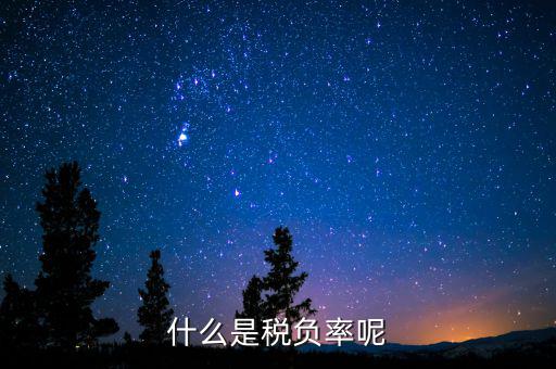 什么是beps，中國銀行網(wǎng)上銀行轉(zhuǎn)賬錯誤代碼BEPSE026是什么意思
