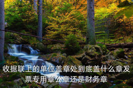 收據(jù)聯(lián)上的單位蓋章處到底蓋什么章發(fā)票專(zhuān)用章公章還是財(cái)務(wù)章