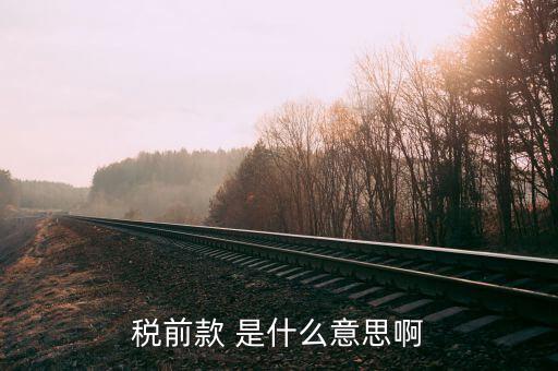 什么是稅前項目費，稅前款 是什么意思啊