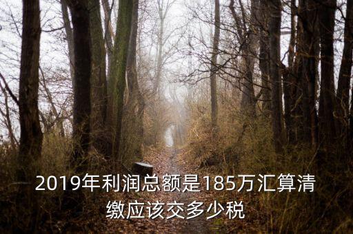 匯算清繳交什么稅，年度匯算清繳應(yīng)交稅率是多少