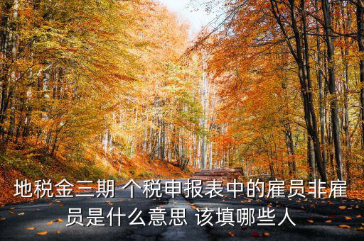金稅四期是什么意思，地稅金三期 個(gè)稅申報(bào)表中的雇員非雇員是什么意思 該填哪些人