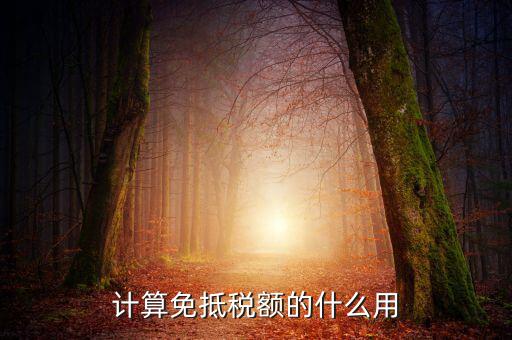 免抵稅額有什么用，出口退稅中的免抵稅額和免抵退稅額是什么意思進(jìn)項稅額用于抵內(nèi)