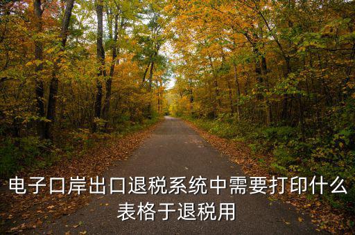 福建退稅備案的表格是什么樣的，出口退稅資格認(rèn)定表
