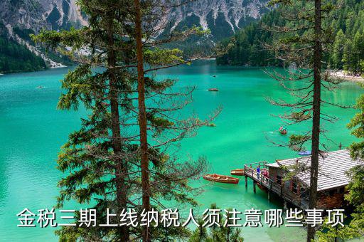 金稅三期山東什么時間啟用，金稅三期問題