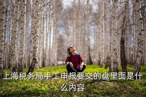 上海稅務(wù)局手工申報(bào)要交的盤(pán)里面是什么內(nèi)容