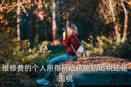 維修費(fèi)的個(gè)人所得稅應(yīng)該繳納地稅還是國(guó)稅