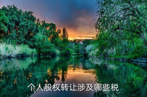 個人股權(quán)轉(zhuǎn)讓都涉及什么稅，法人股東股權(quán)轉(zhuǎn)讓分別涉及哪些稅種