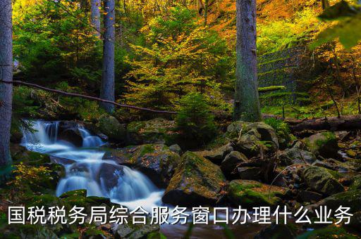 國(guó)稅大廳辦理什么業(yè)務(wù)，辦稅大廳都做些什么事