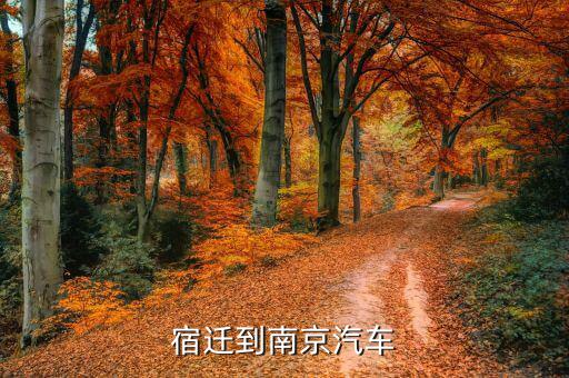 宿遷到南京汽車(chē)