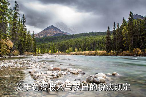 稅務(wù)罰沒指出是什么，地稅扣款單上寫罰沒收入是什么意思