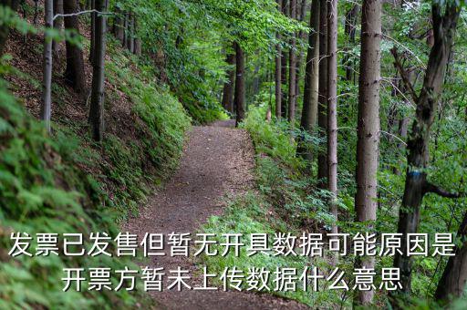 百旺的開票未上傳是什么意思，發(fā)票已發(fā)售但暫無(wú)開具數(shù)據(jù)可能原因是開票方暫未上傳數(shù)據(jù)什么意思