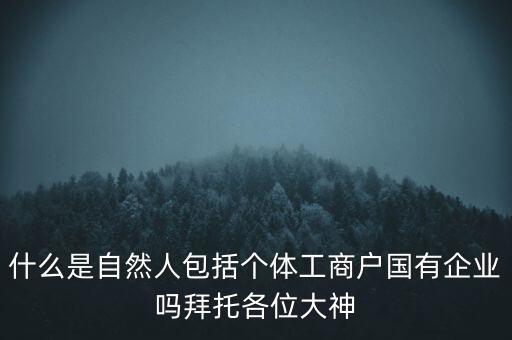 什么是稅務(wù)中的自然人，會計中自然人所指的是那種人