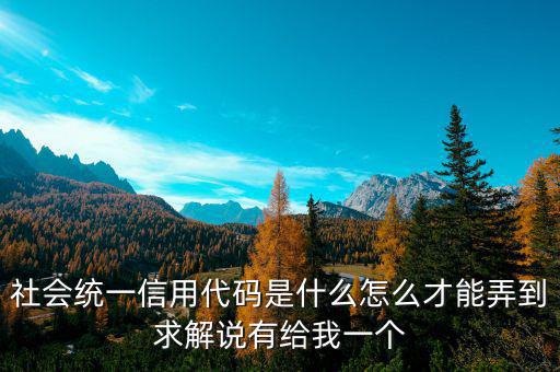 統(tǒng)一社會信代碼是什么樣的，深圳碼統(tǒng)一社會信用代碼是什么