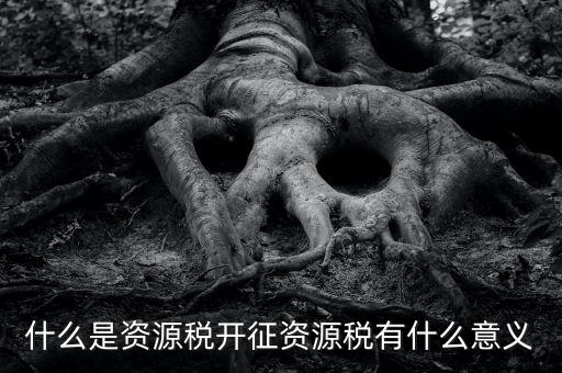 為什么開(kāi)證資源稅，什么是資源稅開(kāi)征資源稅有什么意義