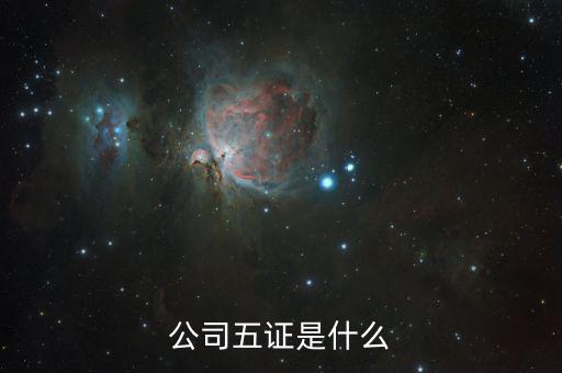 一般納稅人五證是什么意思，一般情況下公司的五證指得都是什么證