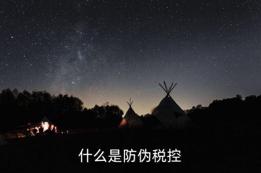 防偽稅控盤什么，什么是防偽稅控